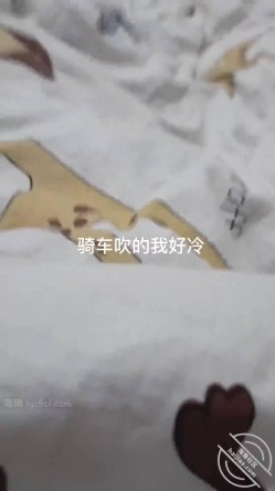 预览图2