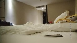 预览图13