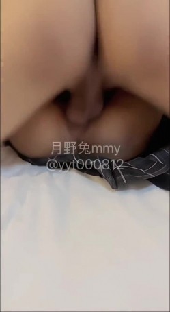预览图7