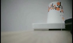 预览图15