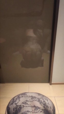 预览图2