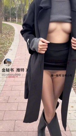 预览图5