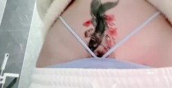 预览图13