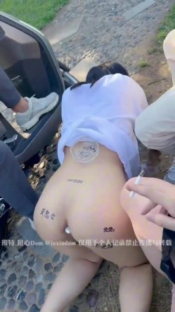 预览图13