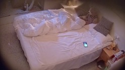 预览图4