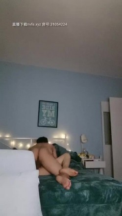 预览图9