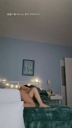 预览图13