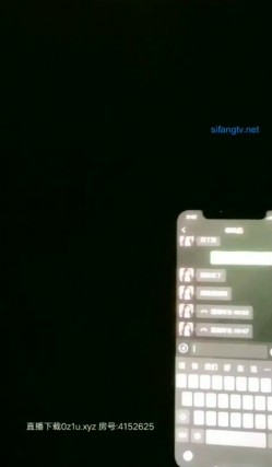 预览图4