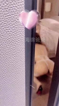 预览图8