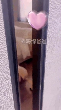 预览图9