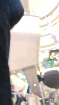 预览图9