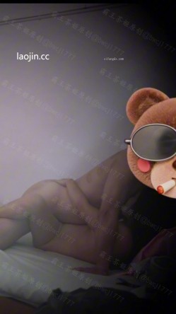 预览图13