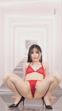 预览图2