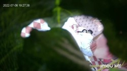预览图4