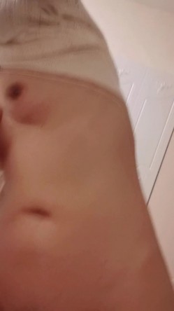 预览图4