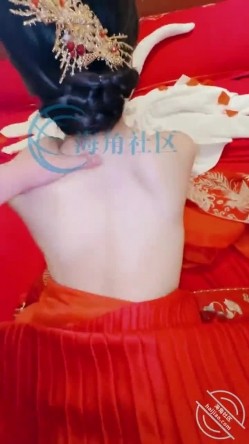 预览图14