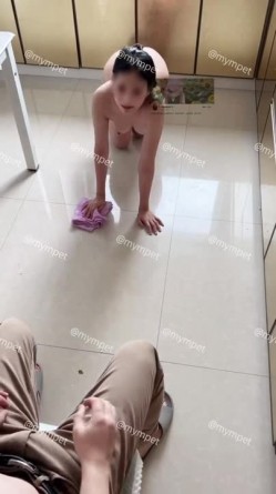 预览图3