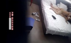 预览图5