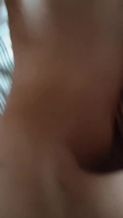 预览图5
