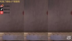 预览图4