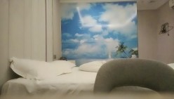 预览图8