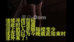 预览图9