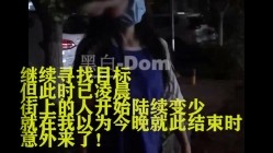 预览图10