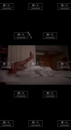 预览图14