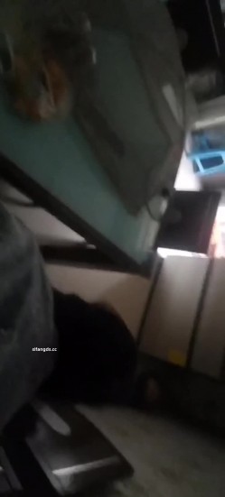 预览图13
