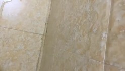 预览图9