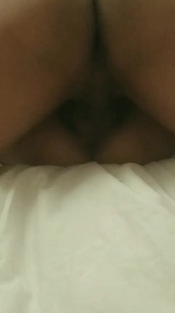 预览图14