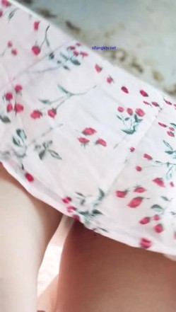 预览图14