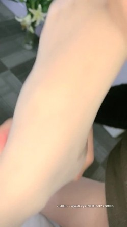预览图8