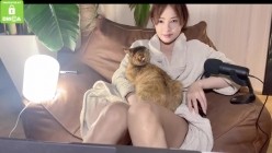 预览图13