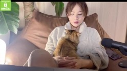 预览图16