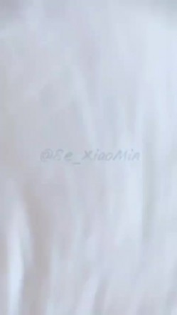 预览图10