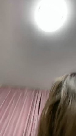 预览图11