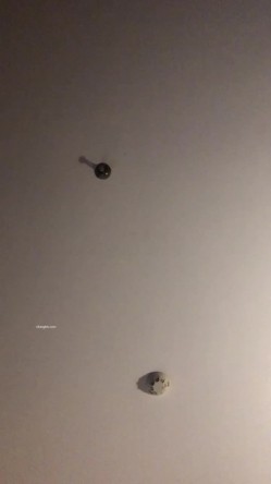 预览图11