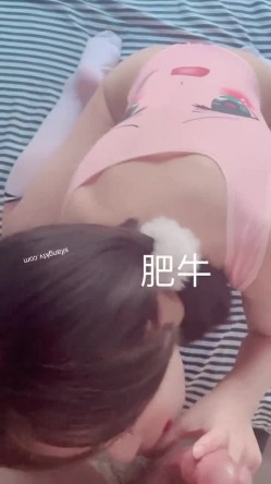 预览图5