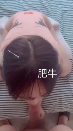 预览图11