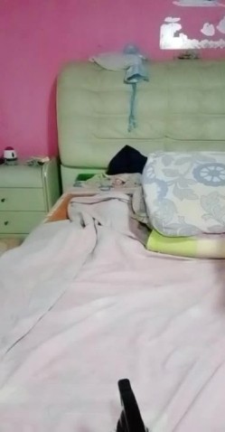 预览图4