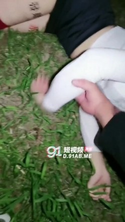 预览图2
