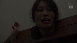 预览图5