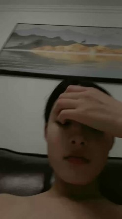 预览图13