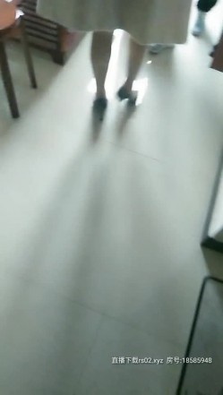 预览图13