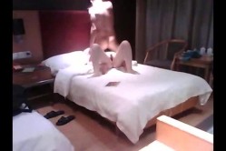 预览图5