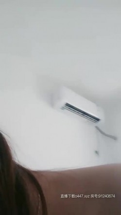 预览图4