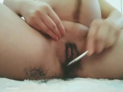 预览图5