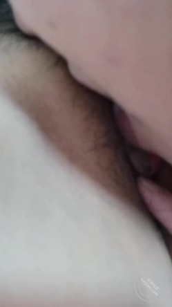 预览图11