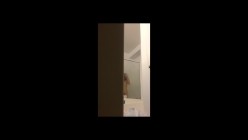 预览图4